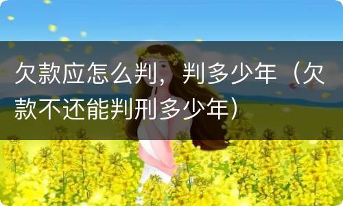 欠款应怎么判，判多少年（欠款不还能判刑多少年）