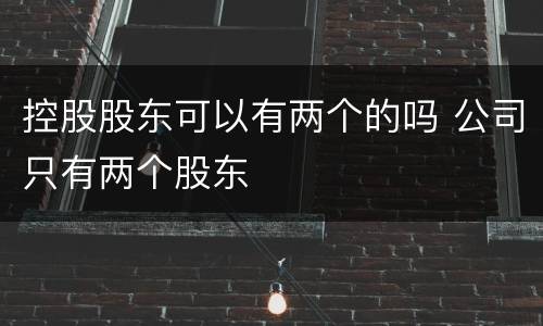 控股股东可以有两个的吗 公司只有两个股东