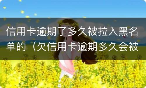 信用卡逾期了多久被拉入黑名单的（欠信用卡逾期多久会被网上通缉）
