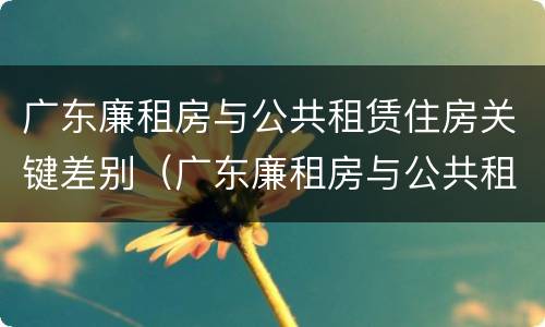 广东廉租房与公共租赁住房关键差别（广东廉租房与公共租赁住房关键差别大吗）