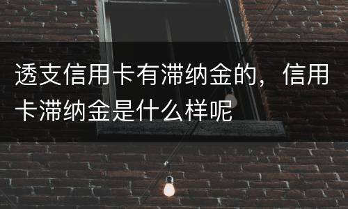 透支信用卡有滞纳金的，信用卡滞纳金是什么样呢