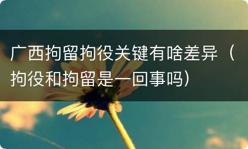 广西拘留拘役关键有啥差异（拘役和拘留是一回事吗）