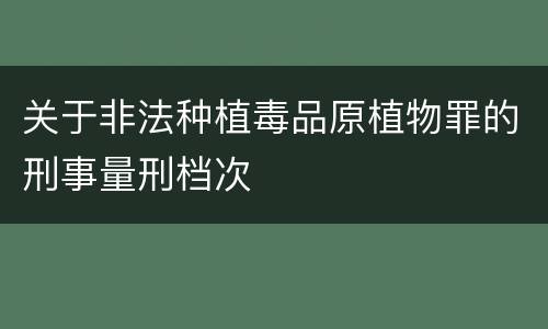 关于非法种植毒品原植物罪的刑事量刑档次