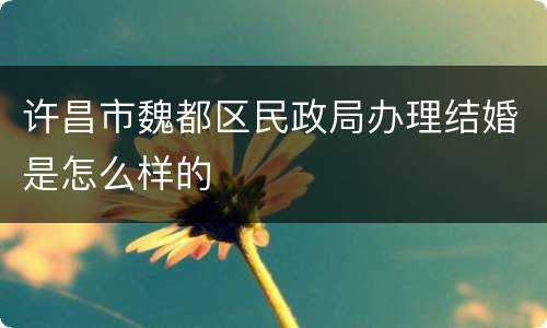 许昌市魏都区民政局办理结婚是怎么样的