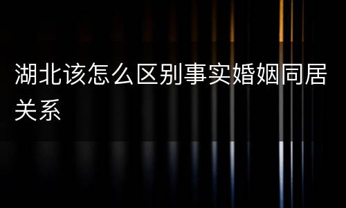 湖北该怎么区别事实婚姻同居关系