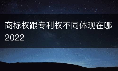 商标权跟专利权不同体现在哪2022