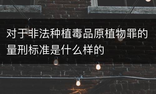 对于非法种植毒品原植物罪的量刑标准是什么样的