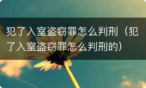 犯了入室盗窃罪怎么判刑（犯了入室盗窃罪怎么判刑的）