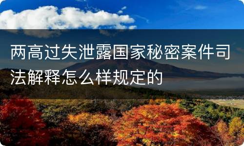 两高过失泄露国家秘密案件司法解释怎么样规定的