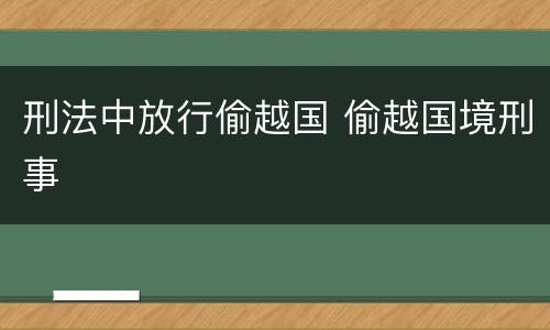 刑法中放行偷越国 偷越国境刑事