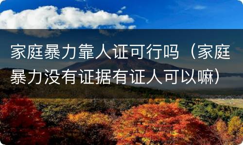 家庭暴力靠人证可行吗（家庭暴力没有证据有证人可以嘛）