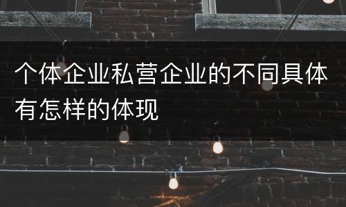 个体企业私营企业的不同具体有怎样的体现