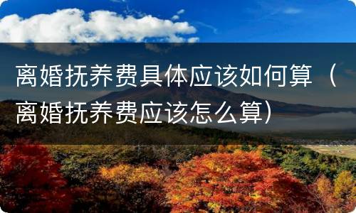 离婚抚养费具体应该如何算（离婚抚养费应该怎么算）