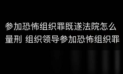参加恐怖组织罪既遂法院怎么量刑 组织领导参加恐怖组织罪规定在我国刑法