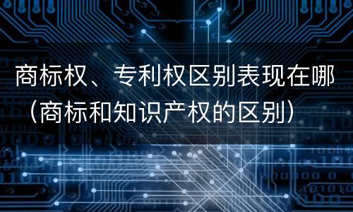 商标权、专利权区别表现在哪（商标和知识产权的区别）