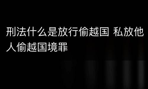刑法什么是放行偷越国 私放他人偷越国境罪