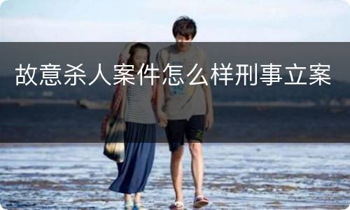 故意杀人案件怎么样刑事立案