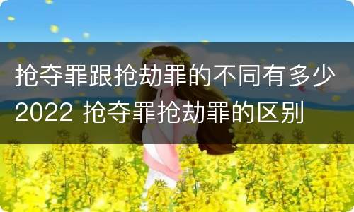 抢夺罪跟抢劫罪的不同有多少2022 抢夺罪抢劫罪的区别