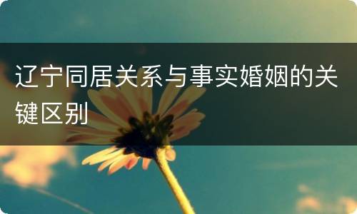 辽宁同居关系与事实婚姻的关键区别