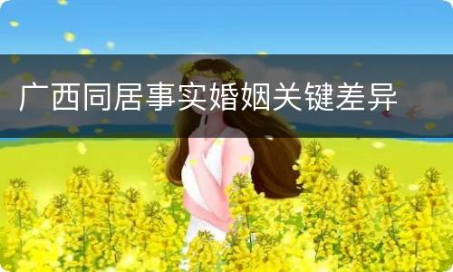 广西同居事实婚姻关键差异