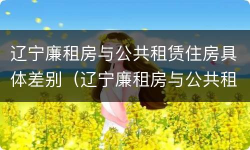 辽宁廉租房与公共租赁住房具体差别（辽宁廉租房与公共租赁住房具体差别在哪）