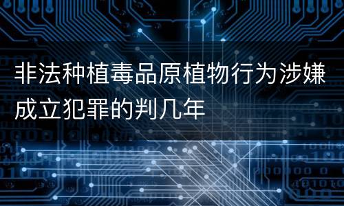 非法种植毒品原植物行为涉嫌成立犯罪的判几年