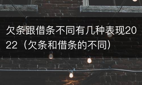 欠条跟借条不同有几种表现2022（欠条和借条的不同）