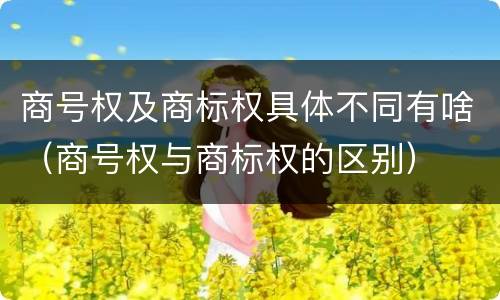 商号权及商标权具体不同有啥（商号权与商标权的区别）