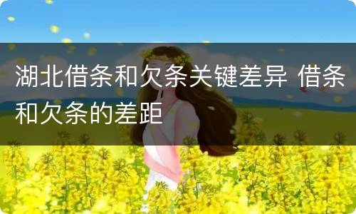 湖北借条和欠条关键差异 借条和欠条的差距