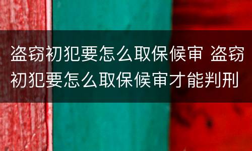 盗窃初犯要怎么取保候审 盗窃初犯要怎么取保候审才能判刑