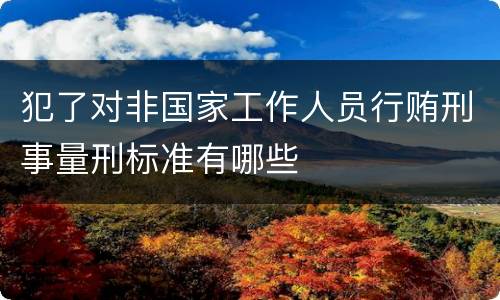 犯了对非国家工作人员行贿刑事量刑标准有哪些