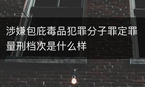 涉嫌包庇毒品犯罪分子罪定罪量刑档次是什么样