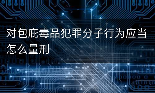 对包庇毒品犯罪分子行为应当怎么量刑