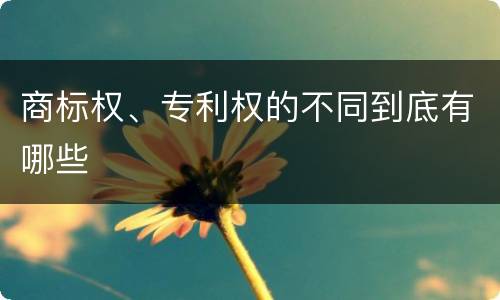商标权、专利权的不同到底有哪些
