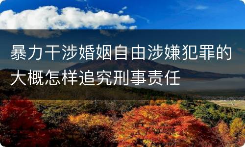 暴力干涉婚姻自由涉嫌犯罪的大概怎样追究刑事责任
