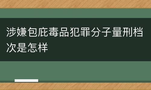 涉嫌包庇毒品犯罪分子量刑档次是怎样
