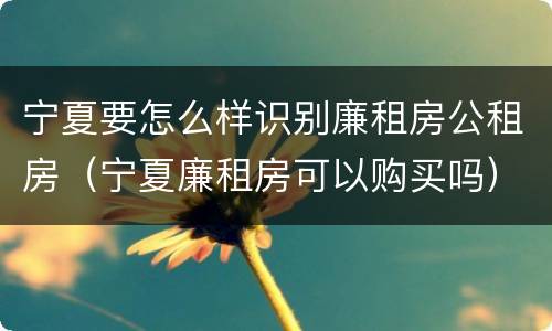 宁夏要怎么样识别廉租房公租房（宁夏廉租房可以购买吗）