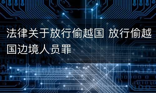 法律关于放行偷越国 放行偷越国边境人员罪