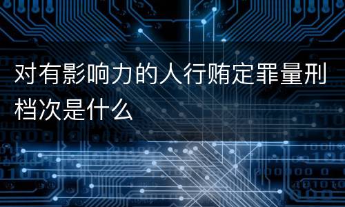 对有影响力的人行贿定罪量刑档次是什么
