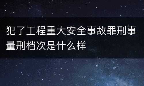 犯了工程重大安全事故罪刑事量刑档次是什么样