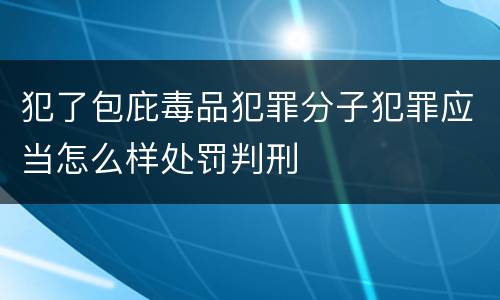 犯了包庇毒品犯罪分子犯罪应当怎么样处罚判刑