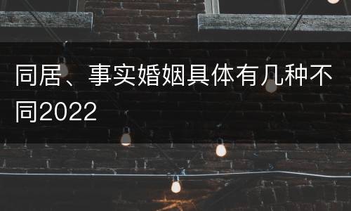 同居、事实婚姻具体有几种不同2022