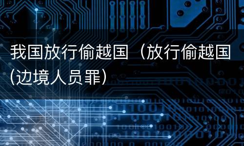 我国放行偷越国（放行偷越国(边境人员罪）