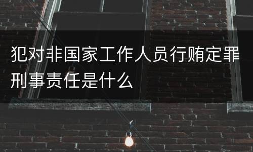 犯对非国家工作人员行贿定罪刑事责任是什么