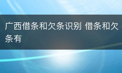广西借条和欠条识别 借条和欠条有