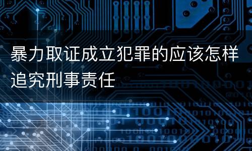 暴力取证成立犯罪的应该怎样追究刑事责任
