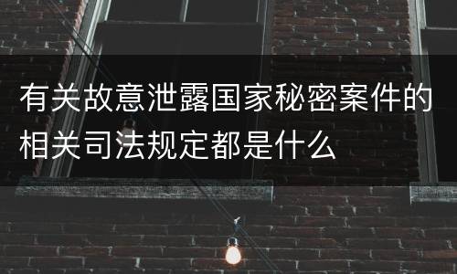 有关故意泄露国家秘密案件的相关司法规定都是什么