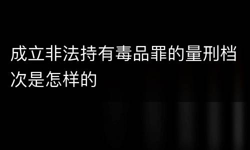 成立非法持有毒品罪的量刑档次是怎样的