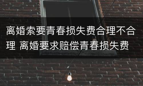 离婚索要青春损失费合理不合理 离婚要求赔偿青春损失费