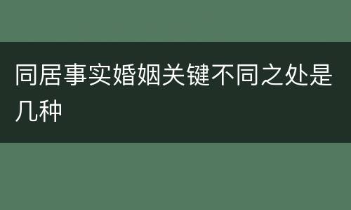 同居事实婚姻关键不同之处是几种